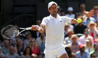 温网2022德约科维奇